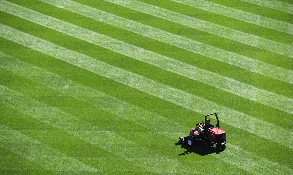 The quiet retreat of the American lawn